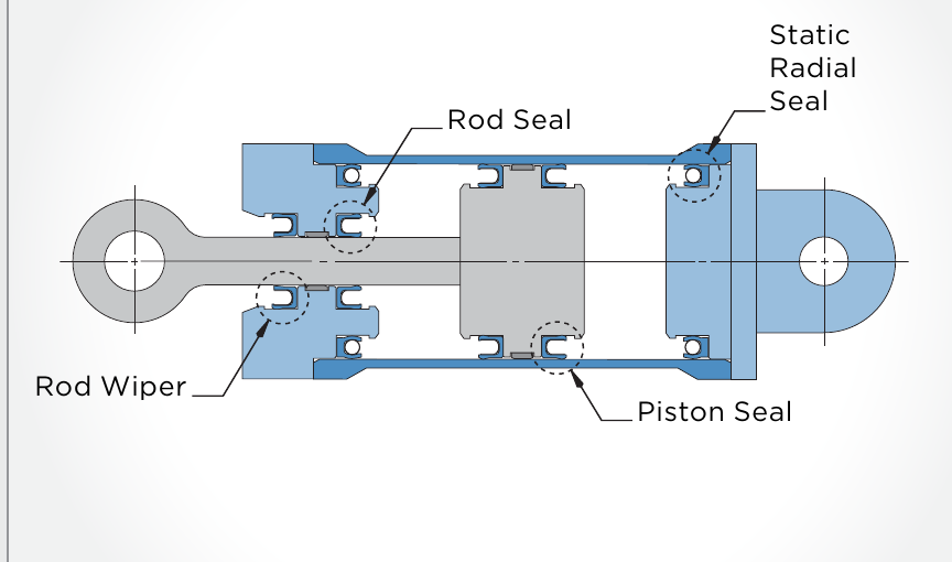 Dynamic Radial Seal